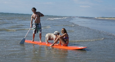 des Collines du Boulonnais - ti lou lou aurait ete contente de monter sur le paddle avec vanille 