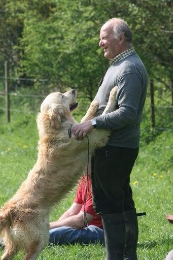 BERNARD PIERS - le passionné des goldens